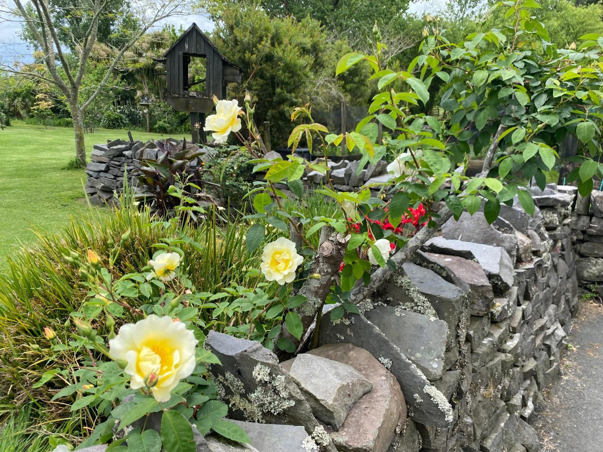 Willows Reach Lodge Kumeu Ngoại thất bức ảnh