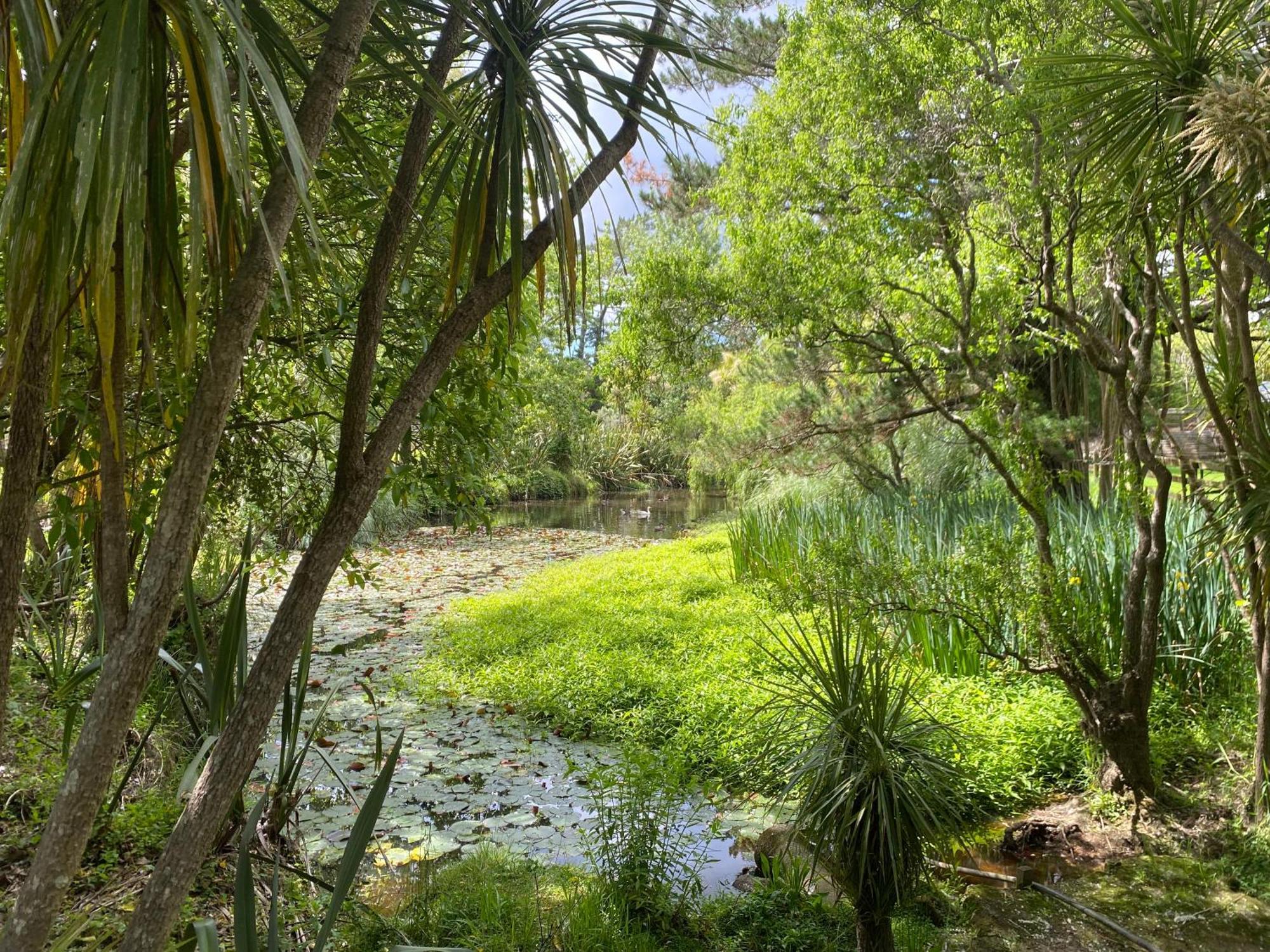 Willows Reach Lodge Kumeu Ngoại thất bức ảnh